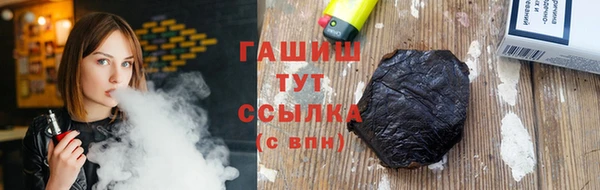 сатива Беломорск