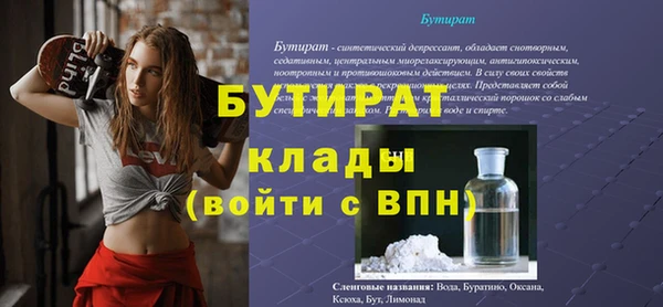 сатива Беломорск