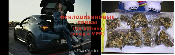 метамфетамин Белокуриха