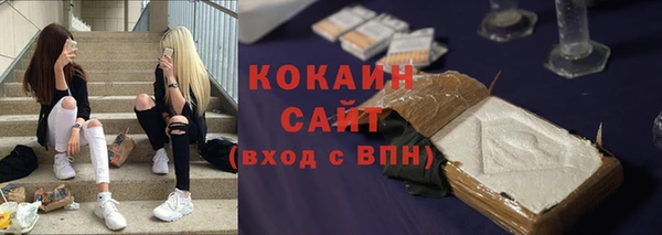 сатива Беломорск