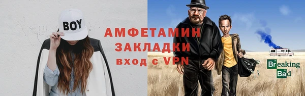 сатива Беломорск
