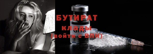сатива Беломорск