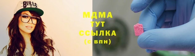 сатива Беломорск
