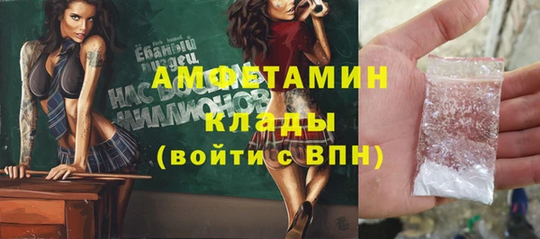 сатива Беломорск