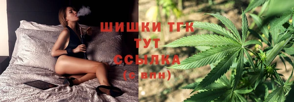 сатива Беломорск
