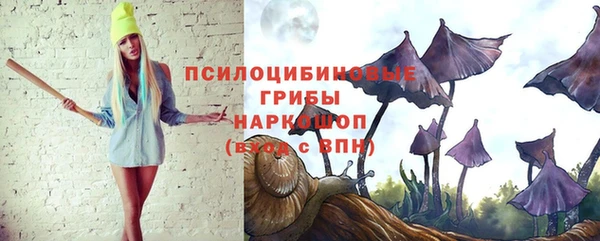 сатива Беломорск