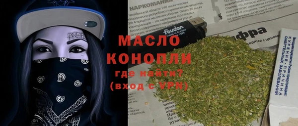 сатива Беломорск