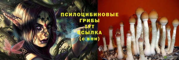сатива Беломорск